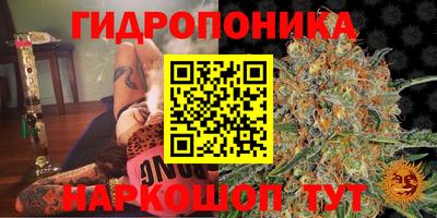 спиды Тверь