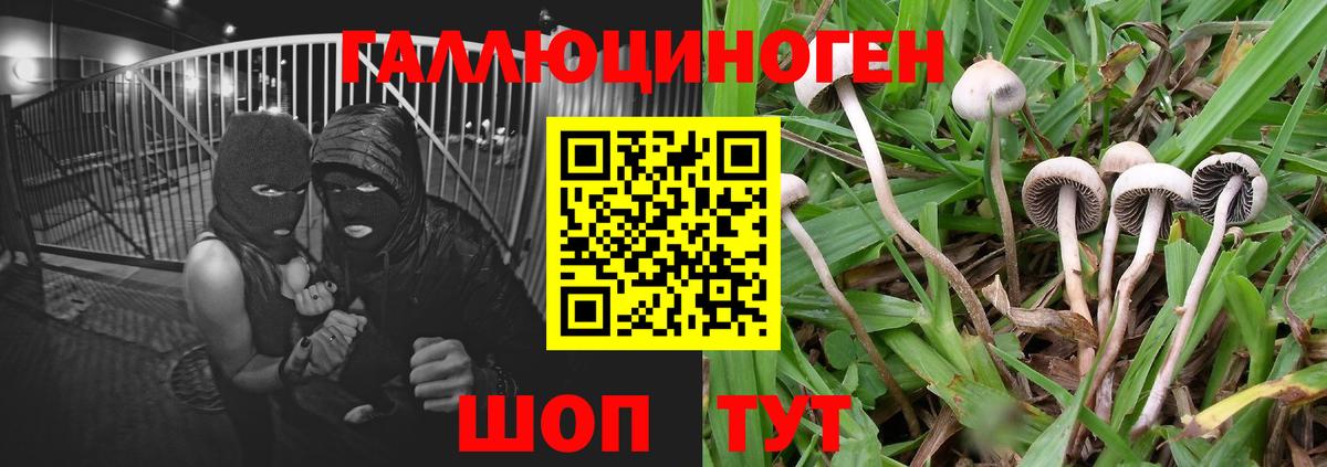 Псилоцибиновые грибы MAGIC MUSHROOMS  Вход с VPN  Мыски 